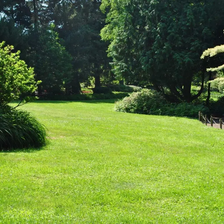 Piękny zielony trawnik w zadbanym ogrodzie.